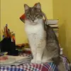 Отзыв от Елена Логинова